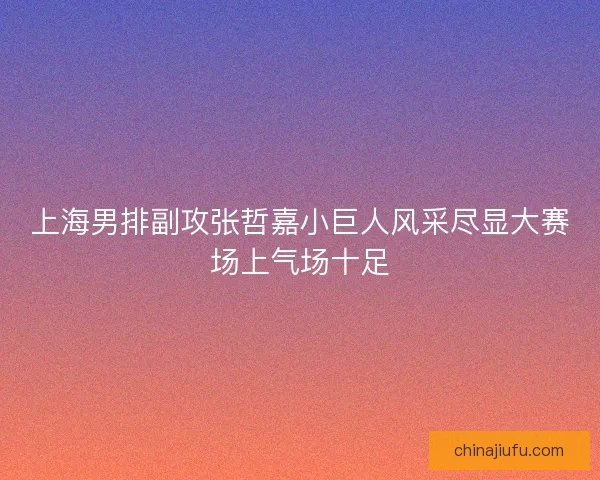 上海男排副攻张哲嘉小巨人风采尽显大赛场上气场十足