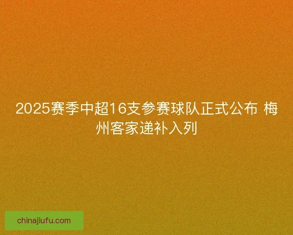 2025赛季中超16支参赛球队正式公布 梅州客家递补入列